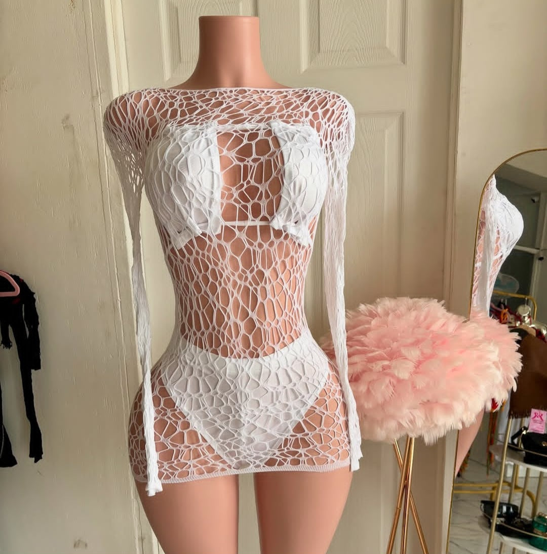 Mesh Coverup