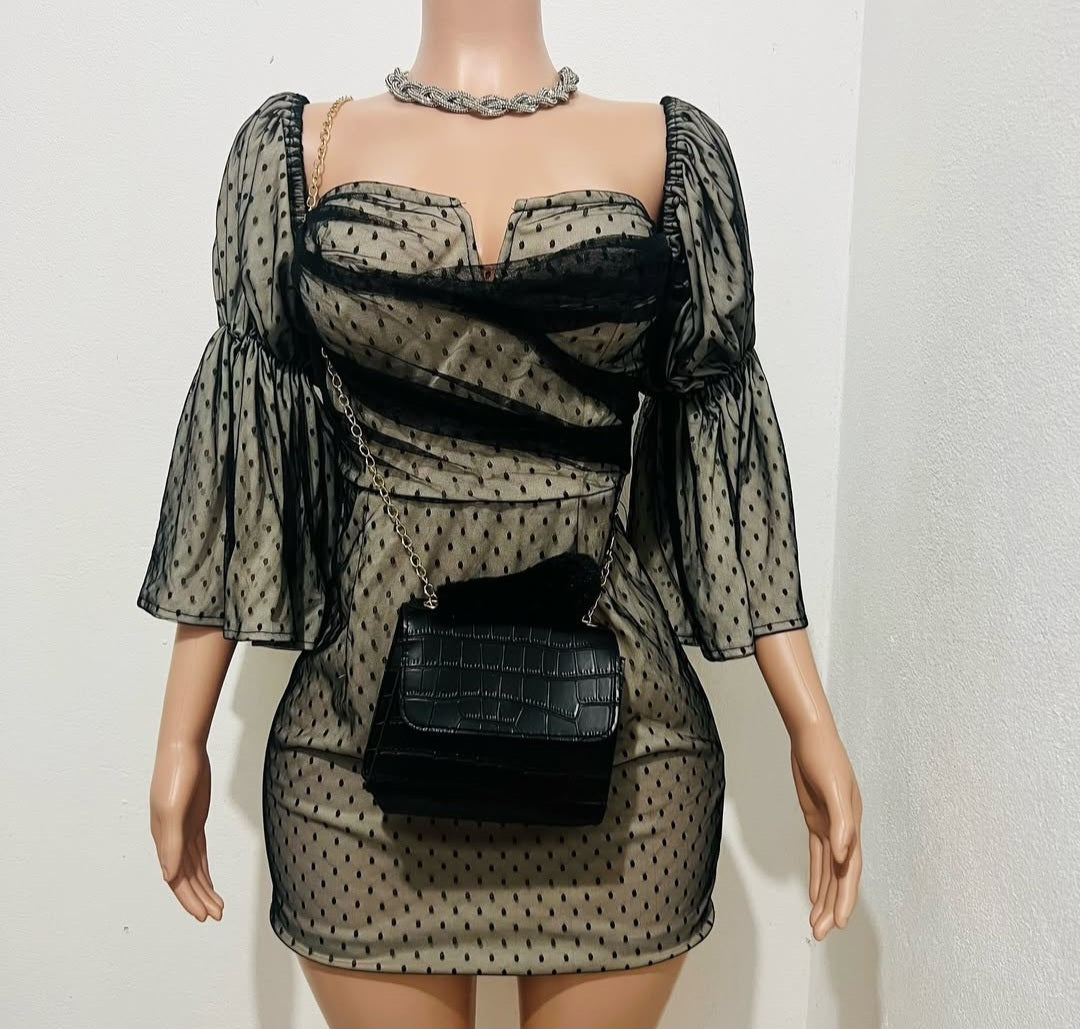 Long Sleeve Mesh Dress